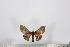  ( - BC-TB2760)  @13 [ ] Copyright (2010) Unspecified Research Collection of Thierry Bouyer