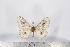 ( - BC-TB2810)  @12 [ ] Copyright (2010) Unspecified Research Collection of Thierry Bouyer