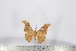  ( - BC-TB2827)  @13 [ ] Copyright (2010) Unspecified Research Collection of Thierry Bouyer