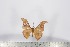  ( - BC-TB2828)  @13 [ ] Copyright (2010) Unspecified Research Collection of Thierry Bouyer