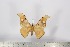  ( - BC-TB2844)  @13 [ ] Copyright (2010) Unspecified Research Collection of Thierry Bouyer