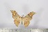  ( - BC-TB2845)  @13 [ ] Copyright (2010) Unspecified Research Collection of Thierry Bouyer