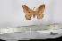  ( - BC-TB2874)  @11 [ ] Copyright (2010) Unspecified Research Collection of Thierry Bouyer