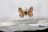 ( - BC-TB2875)  @12 [ ] Copyright (2010) Unspecified Research Collection of Thierry Bouyer