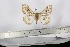  ( - BC-TB2899)  @12 [ ] Copyright (2010) Unspecified Research Collection of Thierry Bouyer