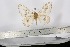  ( - BC-TB2900)  @12 [ ] Copyright (2010) Unspecified Research Collection of Thierry Bouyer