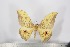  ( - BC-TB2932)  @13 [ ] Copyright (2010) Unspecified Research Collection of Thierry Bouyer