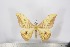  ( - BC-TB2933)  @13 [ ] Copyright (2010) Unspecified Research Collection of Thierry Bouyer