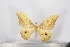  ( - BC-TB2934)  @13 [ ] Copyright (2010) Unspecified Research Collection of Thierry Bouyer