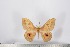  ( - BC-TB2935)  @13 [ ] Copyright (2010) Unspecified Research Collection of Thierry Bouyer