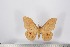  ( - BC-TB2937)  @11 [ ] Copyright (2010) Unspecified Research Collection of Thierry Bouyer