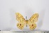  ( - BC-TB2938)  @11 [ ] Copyright (2010) Unspecified Research Collection of Thierry Bouyer