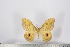  ( - BC-TB2939)  @11 [ ] Copyright (2010) Unspecified Research Collection of Thierry Bouyer