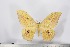  ( - BC-TB2942)  @13 [ ] Copyright (2010) Unspecified Research Collection of Thierry Bouyer