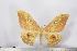  ( - BC-TB2943)  @13 [ ] Copyright (2010) Unspecified Research Collection of Thierry Bouyer