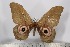  ( - BC-TB3005)  @13 [ ] Copyright (2010) Unspecified Research Collection of Thierry Bouyer