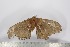  ( - BC-TB3006)  @12 [ ] Copyright (2010) Unspecified Research Collection of Thierry Bouyer