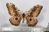  ( - BC-TB3013)  @13 [ ] Copyright (2010) Unspecified Research Collection of Thierry Bouyer