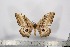  ( - BC-TB3014)  @13 [ ] Copyright (2010) Unspecified Research Collection of Thierry Bouyer