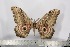  ( - BC-TB3024)  @14 [ ] Copyright (2010) Unspecified Research Collection of Thierry Bouyer