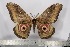  ( - BC-TB3045)  @14 [ ] Copyright (2010) Unspecified Research Collection of Thierry Bouyer