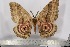  ( - BC-TB3056)  @14 [ ] Copyright (2010) Unspecified Research Collection of Thierry Bouyer