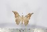  ( - BC-TB3074)  @14 [ ] Copyright (2010) Unspecified Research Collection of Thierry Bouyer