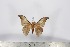  ( - BC-TB3075)  @14 [ ] Copyright (2010) Unspecified Research Collection of Thierry Bouyer