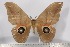  ( - BC-TB3093)  @13 [ ] Copyright (2010) Unspecified Research Collection of Thierry Bouyer