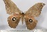  ( - BC-TB3094)  @13 [ ] Copyright (2010) Unspecified Research Collection of Thierry Bouyer