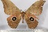  ( - BC-TB3095)  @13 [ ] Copyright (2010) Unspecified Research Collection of Thierry Bouyer