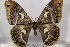  ( - BC-TB3133)  @13 [ ] Copyright (2010) Unspecified Research Collection of Thierry Bouyer