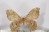  ( - BC-TB3134)  @13 [ ] Copyright (2010) Unspecified Research Collection of Thierry Bouyer