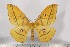  ( - BC-TB3142)  @14 [ ] Copyright (2010) Unspecified Research Collection of Thierry Bouyer