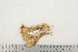  ( - BC-TB3184)  @11 [ ] Copyright (2010) Unspecified Research Collection of Thierry Bouyer