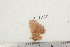  ( - BC-TB3192)  @12 [ ] Copyright (2010) Unspecified Research Collection of Thierry Bouyer