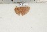  ( - BC-TB3193)  @12 [ ] Copyright (2010) Unspecified Research Collection of Thierry Bouyer