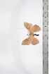  ( - BC-TB3368)  @12 [ ] Copyright (2010) Unspecified Research Collection of Thierry Bouyer