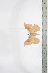  ( - BC-TB3374)  @12 [ ] Copyright (2010) Unspecified Research Collection of Thierry Bouyer