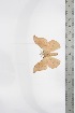  ( - BC-TB3379)  @11 [ ] Copyright (2010) Unspecified Research Collection of Thierry Bouyer