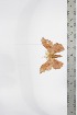  ( - BC-TB3383)  @11 [ ] Copyright (2010) Unspecified Research Collection of Thierry Bouyer