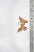  ( - BC-TB3384)  @11 [ ] Copyright (2010) Unspecified Research Collection of Thierry Bouyer