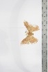  ( - BC-TB3386)  @11 [ ] Copyright (2010) Unspecified Research Collection of Thierry Bouyer
