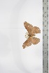  ( - BC-TB3387)  @11 [ ] Copyright (2010) Unspecified Research Collection of Thierry Bouyer