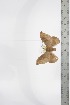  ( - BC-TB3388)  @11 [ ] Copyright (2010) Unspecified Research Collection of Thierry Bouyer