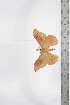  ( - BC-TB3390)  @11 [ ] Copyright (2010) Unspecified Research Collection of Thierry Bouyer