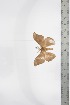  ( - BC-TB3392)  @11 [ ] Copyright (2010) Unspecified Research Collection of Thierry Bouyer