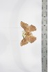  ( - BC-TB3395)  @11 [ ] Copyright (2010) Unspecified Research Collection of Thierry Bouyer