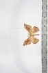  ( - BC-TB3400)  @11 [ ] Copyright (2010) Unspecified Research Collection of Thierry Bouyer
