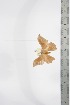  ( - BC-TB3402)  @11 [ ] Copyright (2010) Unspecified Research Collection of Thierry Bouyer